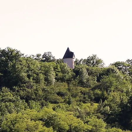 Moulin De Rouze Castelnaud-de-Gratecambe