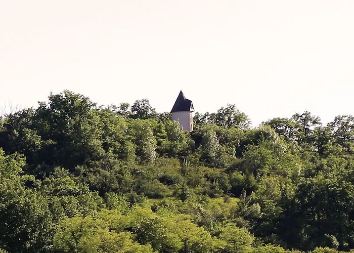Moulin De Rouzé Castelnaud-de-Gratecambe